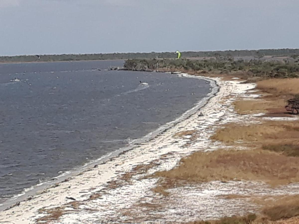 Navy Cove Harbor 1206 By Vacation Homes Collection Gulf Shores Ngoại thất bức ảnh
